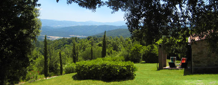 ausblick-garten-ferienhaus